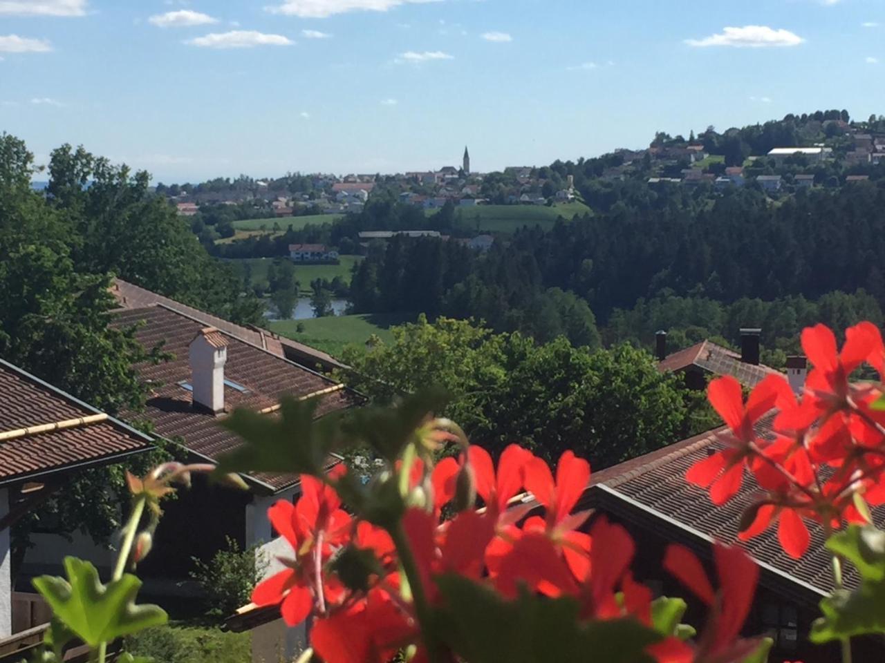 Ferienwohnung Waldblick Хауценберг Экстерьер фото