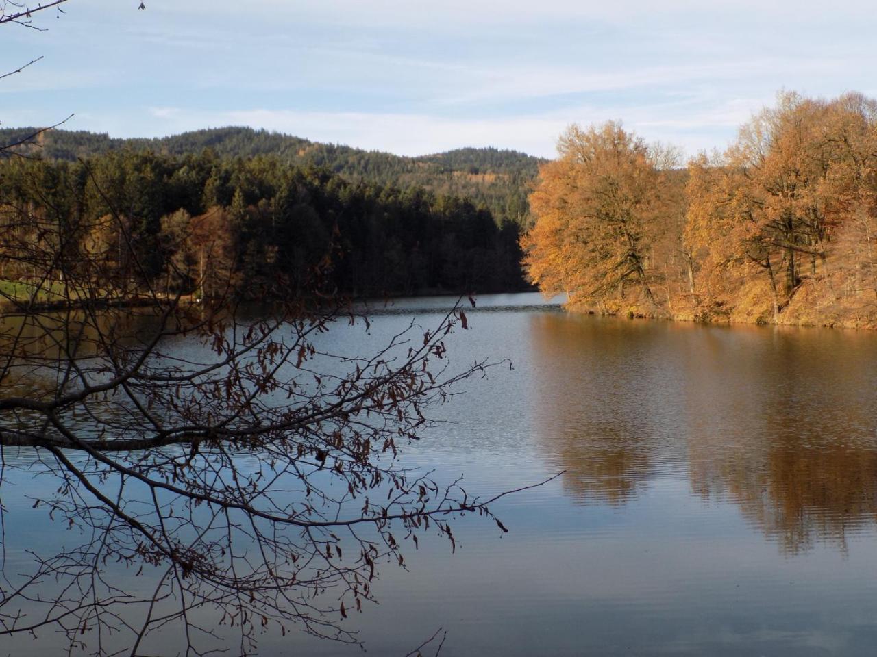 Ferienwohnung Waldblick Хауценберг Экстерьер фото